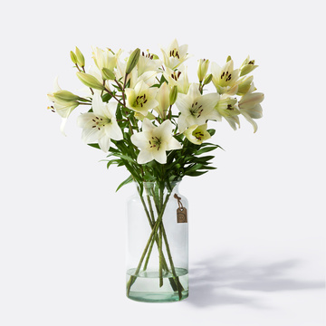 Lilien Bestellen Verschicken Blume00 De