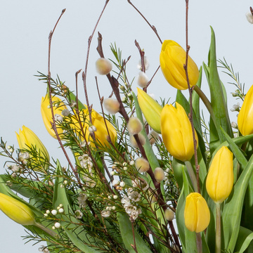 Blume 2000 Online Blumenversand für jeden Anlass