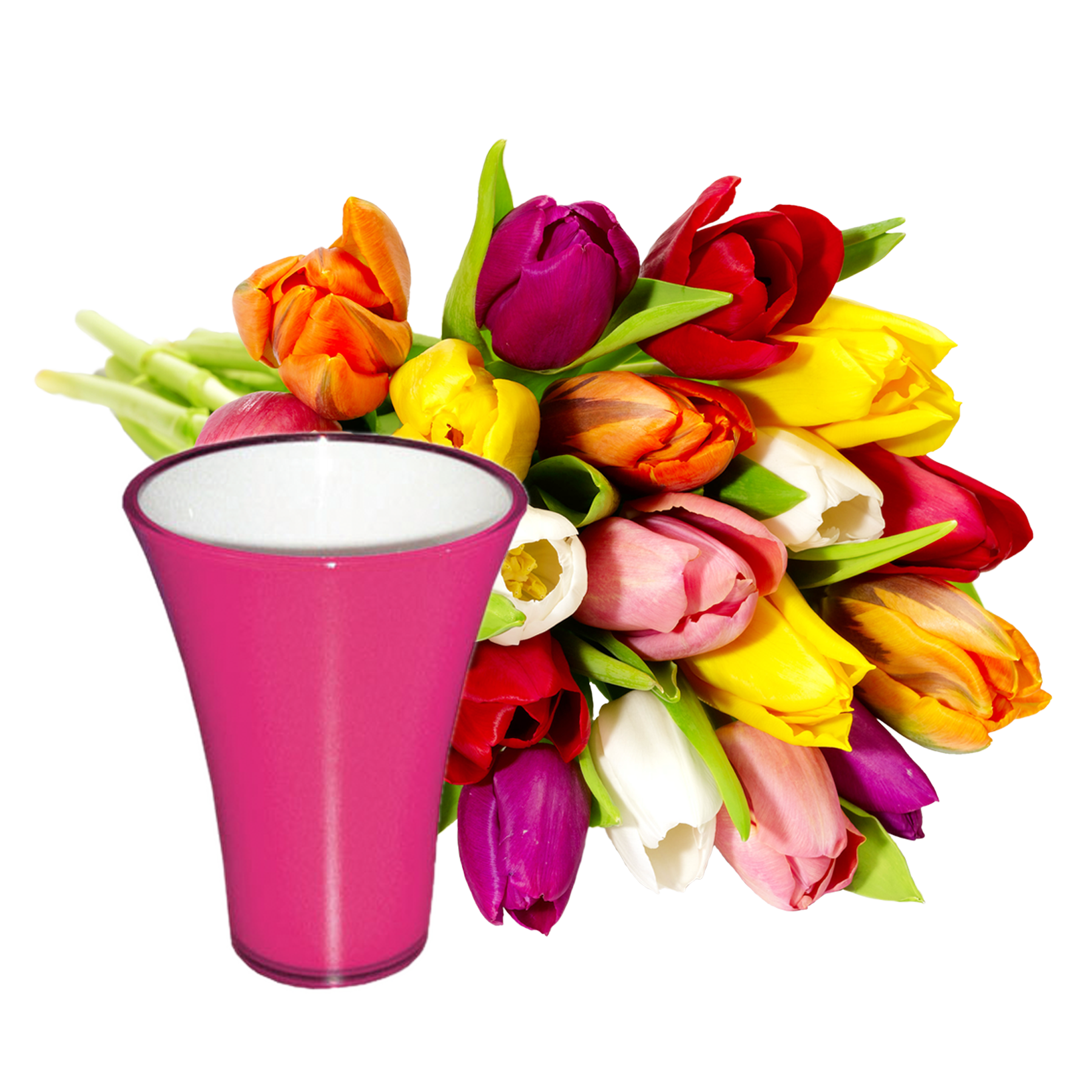 20 Stiele Bunte Tulpen mit fuchsiafarbener Vase von  bestellen